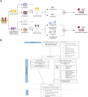 Effects of imipramine on cancer patients over-expressing Fascin1; description of the HITCLIF clinical trial